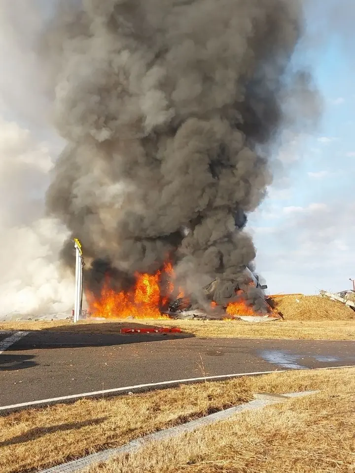 The plane burst into flames. Credit: South Korean National Fire Agency/Getty