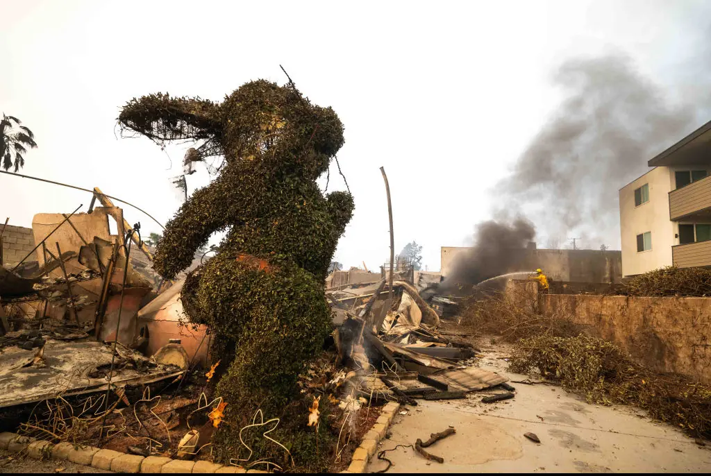 The Bunny Museum has been destroyed in the fire. Credit: MediaNews Group/Orange County Register via Getty Images