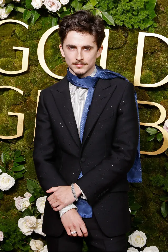 Timothee Chalamet was nominated for his role as Bob Dylan. Credit: Taylor Hill / Getty