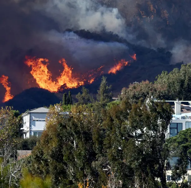 'Blues Brothers' star dies in LA fires after home burns down - Article Image 3