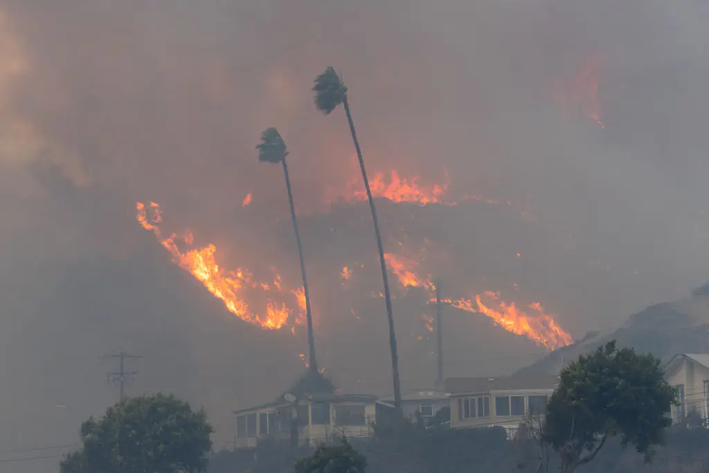 The wildfires have wreaked havoc across Los Angeles, destroying over 10,000 structures and displacing thousands of residents. Credit: VCG / Getty