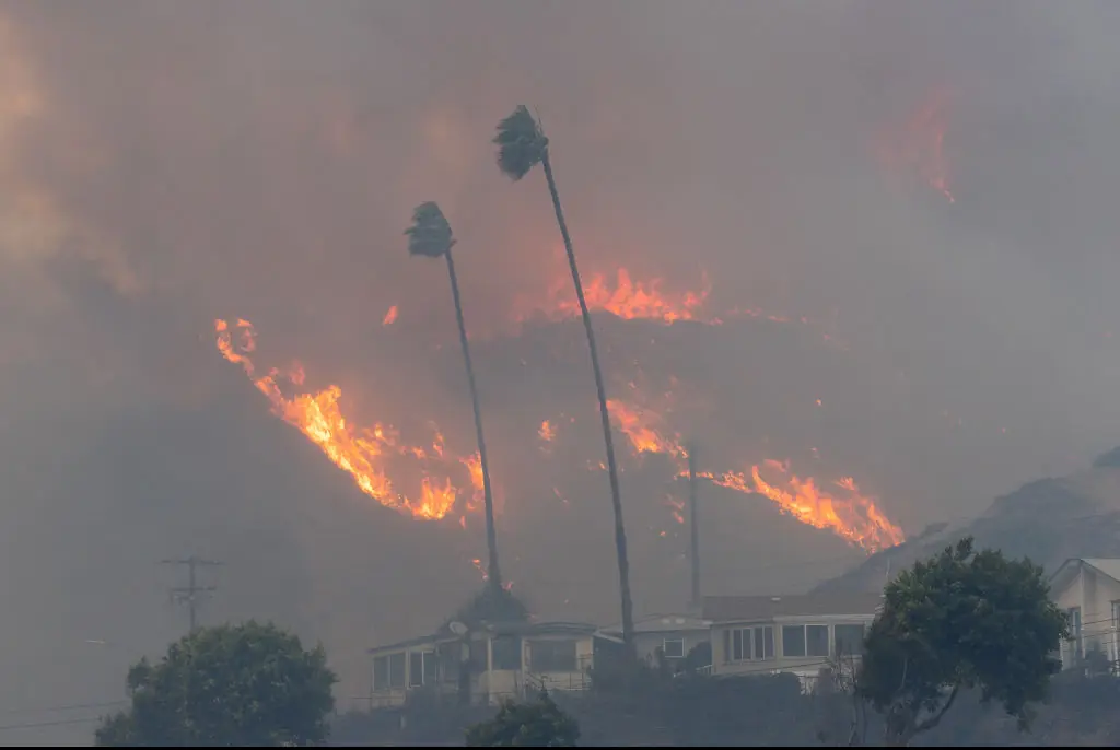 The wildfires have wreaked havoc across Los Angeles, destroying over 10,000 structures and displacing thousands of residents. Credit: VCG / Getty