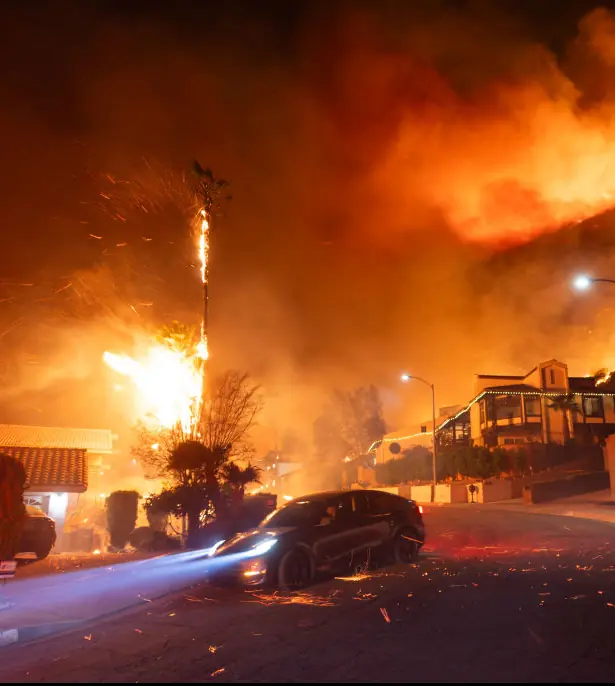 'Blues Brothers' star dies in LA fires after home burns down - Article Image 2
