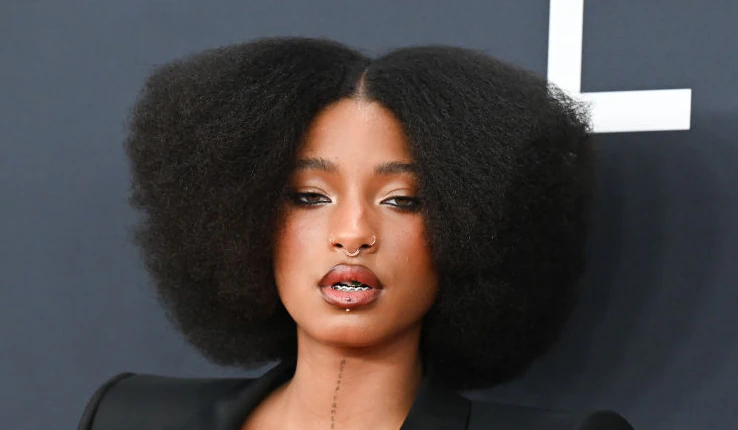 Will Smith and Jada Pinkett's daughter Willow sparks concern after posting crying selfie with X-rated message