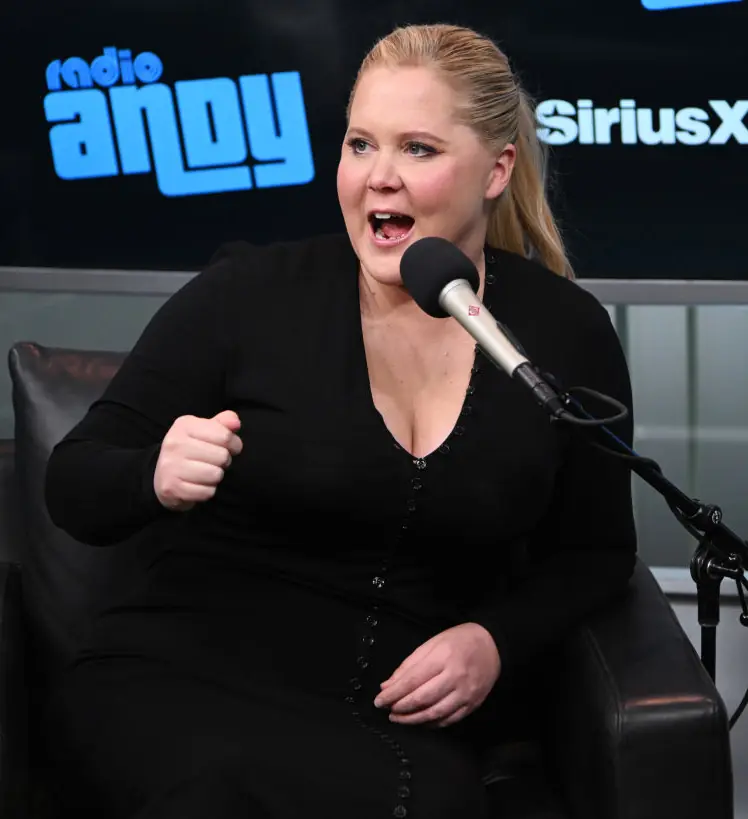 Amy Schumer wants to bring the character back. Credit: Noam Galai/Getty Images for SiriusXM