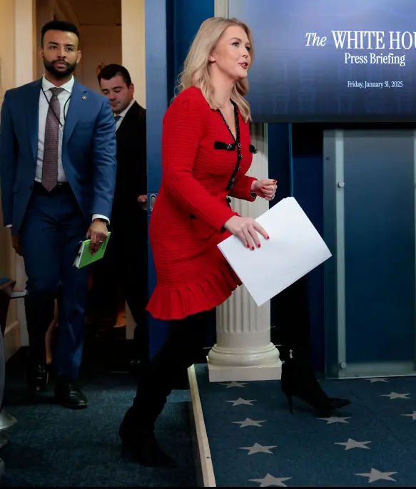 One of Leavitt's particular dresses became the focus of Chinese social media users. Credit: Chip Somodevilla/Getty Images