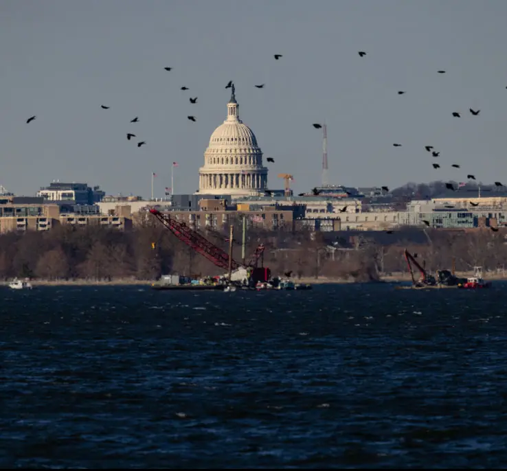 Cranes continue to work on wreckage removal on the Potomac River. Credit: Anna Rose Layden/Getty Images