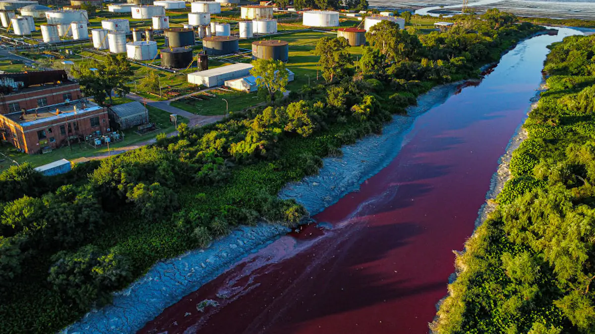 Concerns raised after canal water mysteriously turns red 'like blood ...