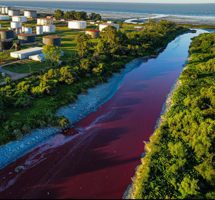 Concerns raised after canal water mysteriously turns red 'like blood' overnight - Article Image 1