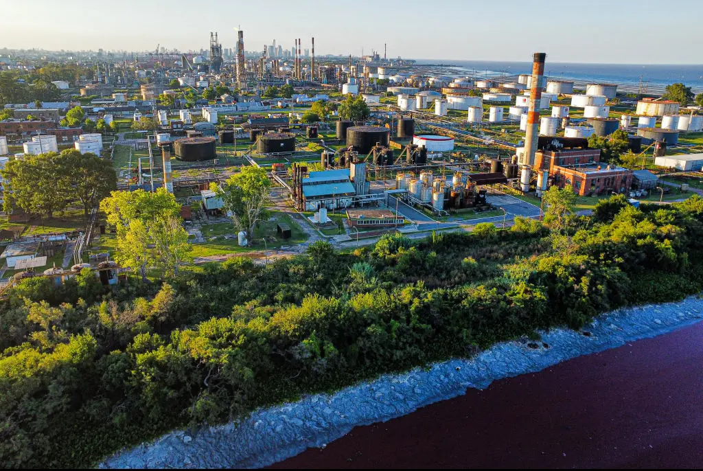 The current theory is a chemical spill from a nearby factory. Credit: Luciano Gonzalez/Anadolu/Getty