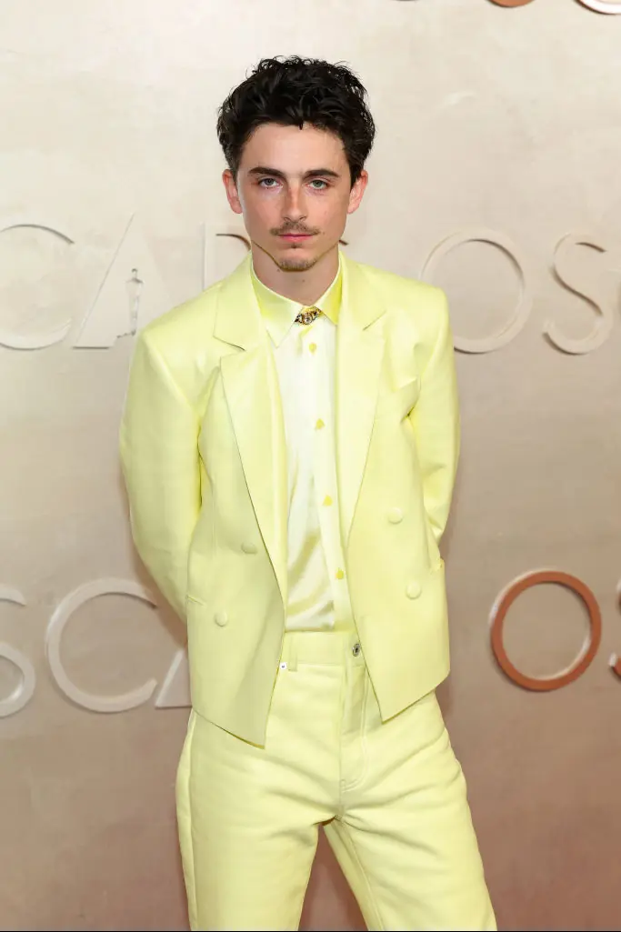 Timothée Chalamet. Credit: Arturo Holmes/WireImage