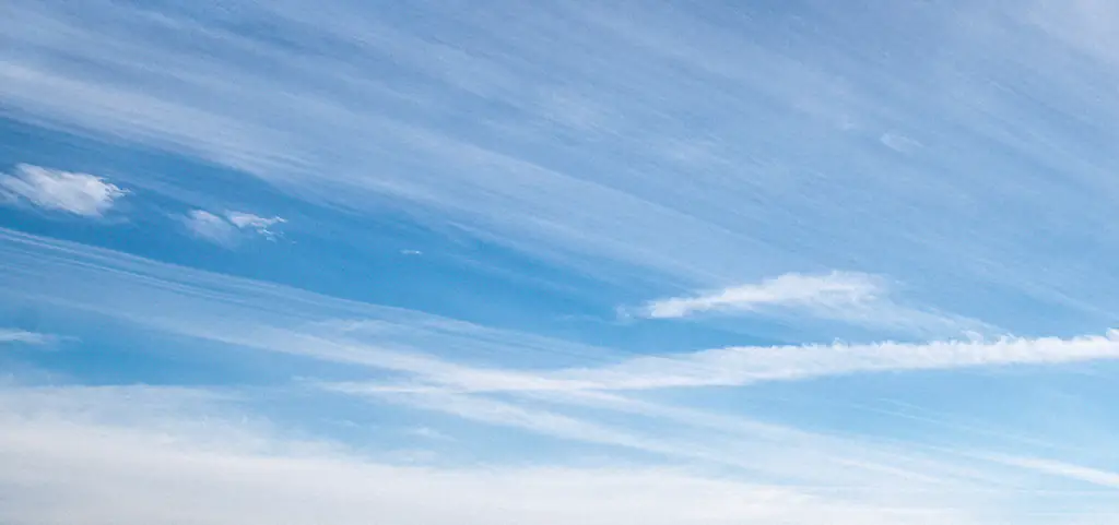 'At least 6 people dead' as tourist submarine sinks while visiting coral reef