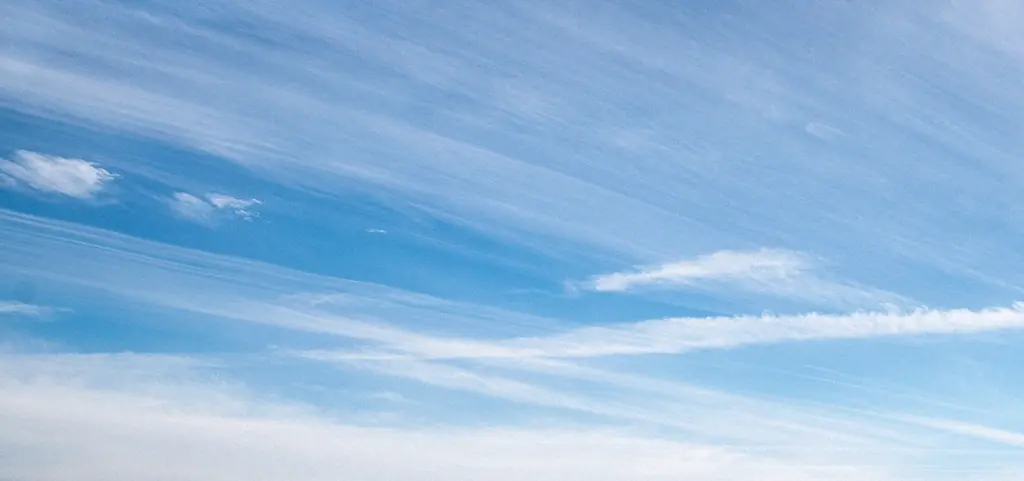 'At least 6 people dead' as tourist submarine sinks while visiting coral reef