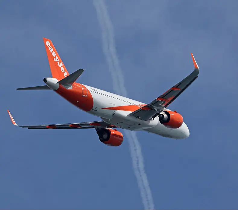 The tragic incident unfolded on an EasyJet flight. Credit: Joan Valls/Urbanandsport/NurPhoto via Getty Images