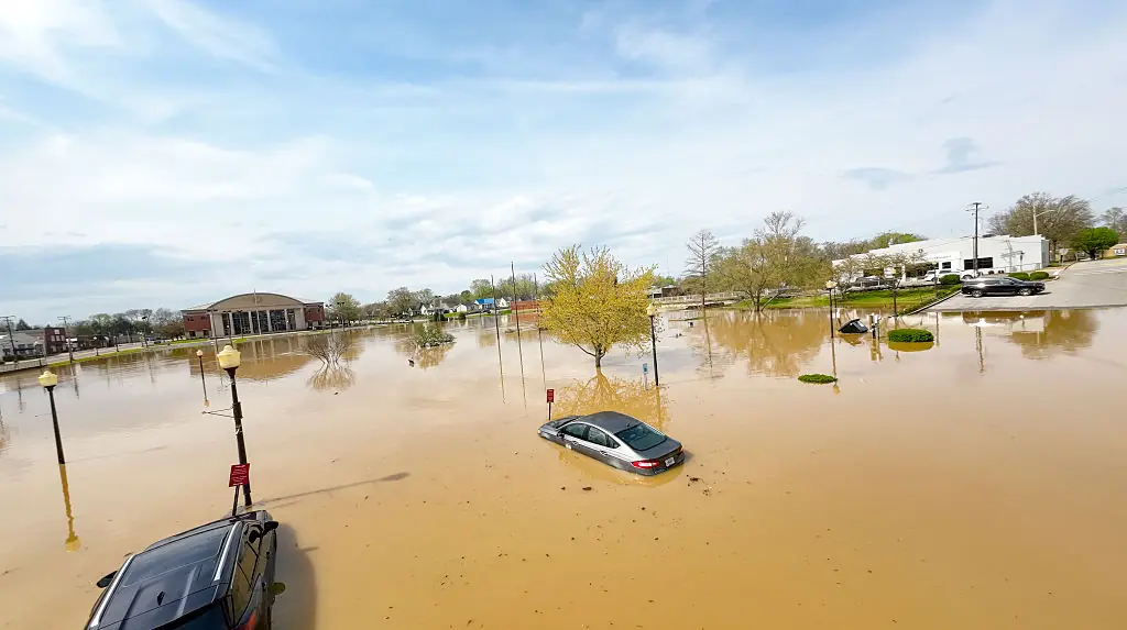 Kentucky boy, 9, dies after being swept away by floodwaters while trying to catch morning school bus