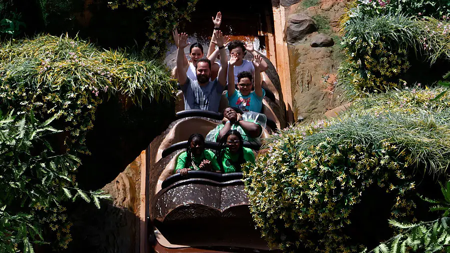 Tiana's Bayou Adventure 