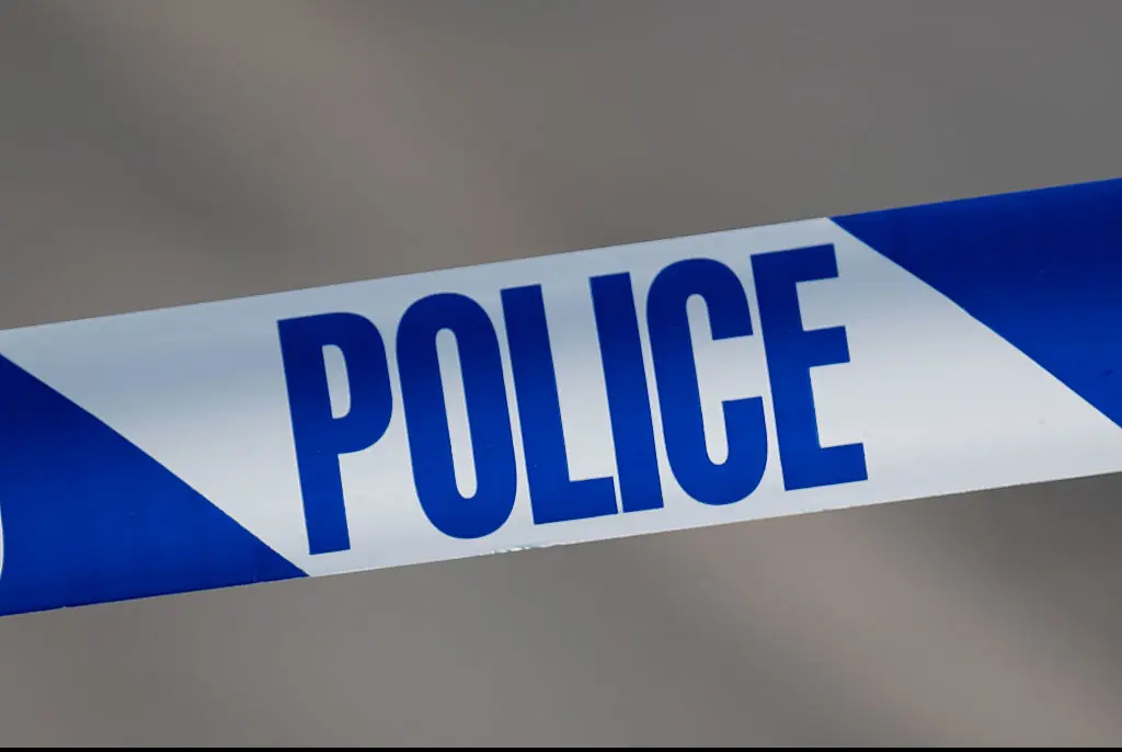 Chilling two-word text mom received just moments before her son vanished