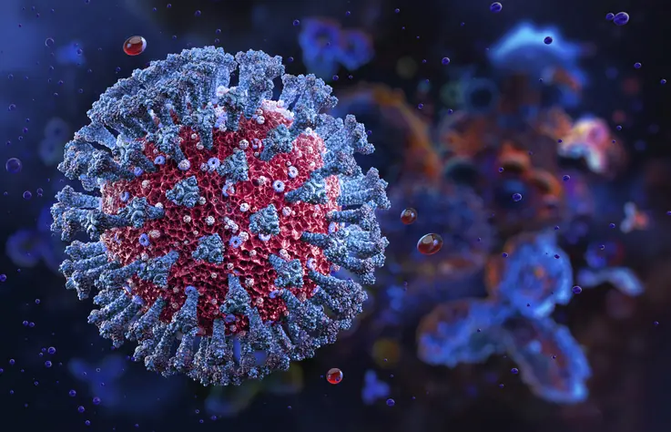 A new Covid variant is spreading across the US. Credit:	RUSLANAS BARANAUSKAS/SCIENCE PHOTO LIBRARY / Getty