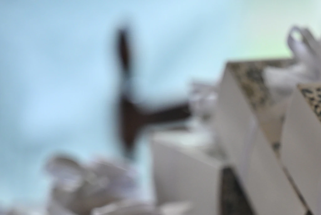 Shocking moment wedding crasher steals $100K worth of gifts and leaves bride sobbing