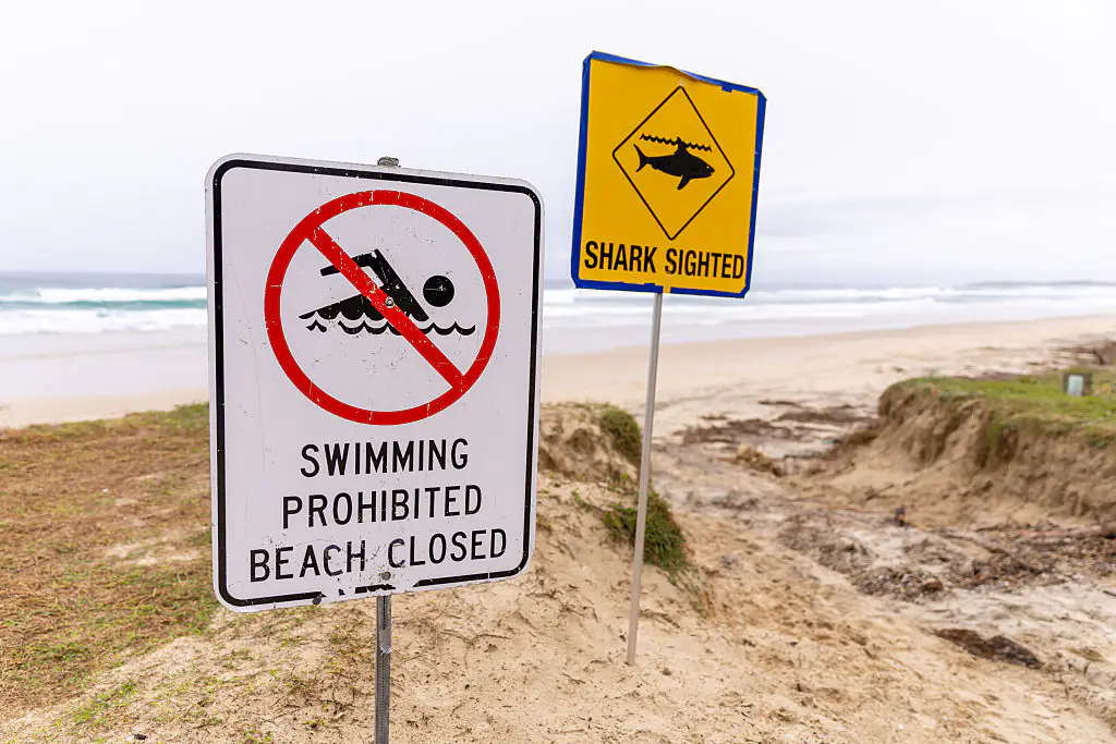 Authorities now say they are reviewing “harrowing footage” captured by the couple shortly before the attack. Credit: Mackenzie Sweetnam / Getty