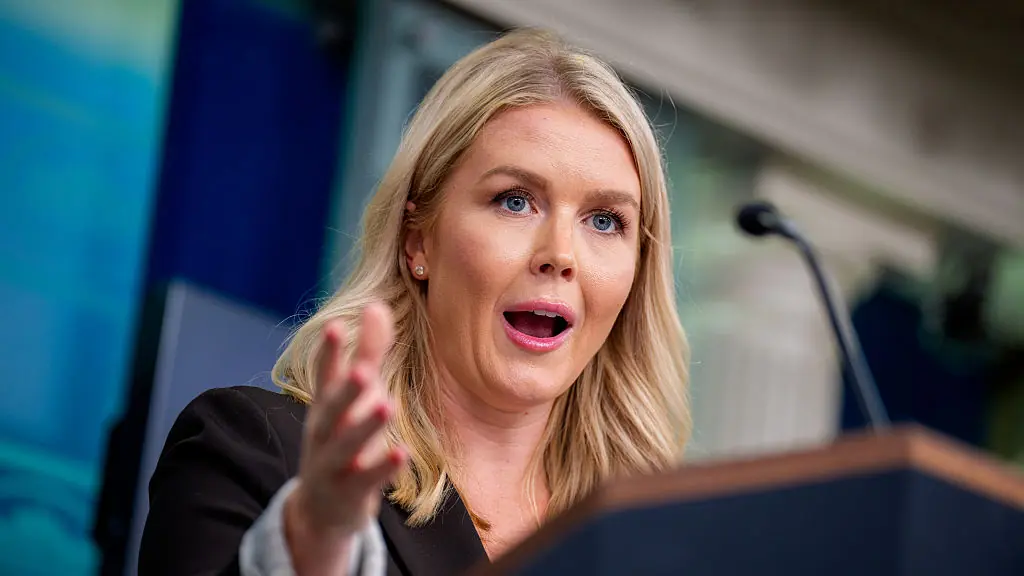White House Press Secretary Karoline Leavitt gives brutal 'your mom' response to journalist's question about Putin-Trump meeting