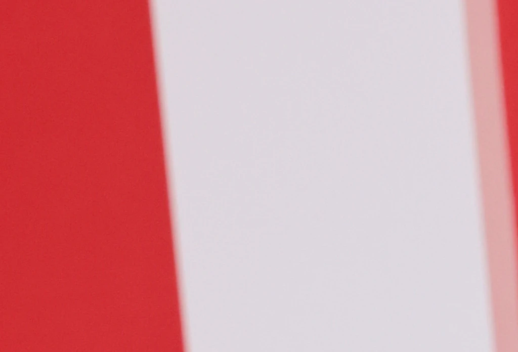 Julia Fox comes out as pansexual and clarifies what her sexuality means