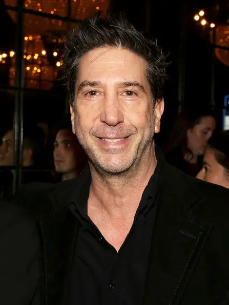 David Schwimmer