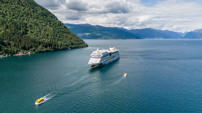 cruise