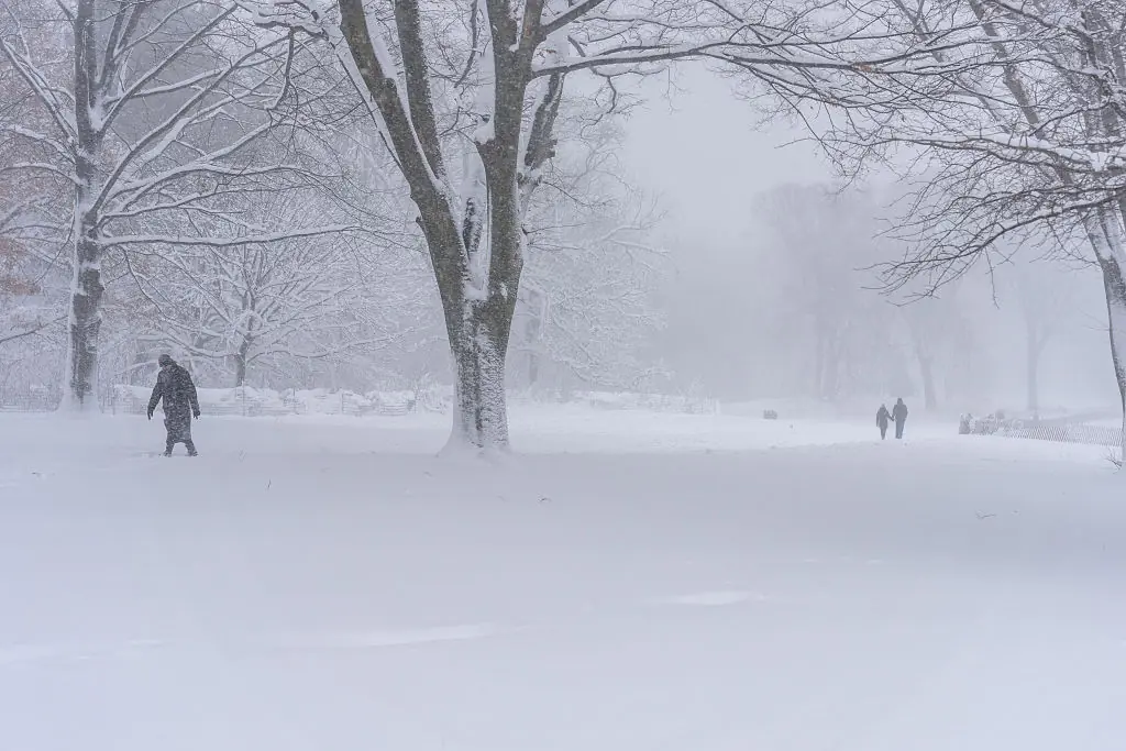 Central Park recorded 19.7 inches of snow as of Monday afternoon. Credit: Jeremy Weine / Getty