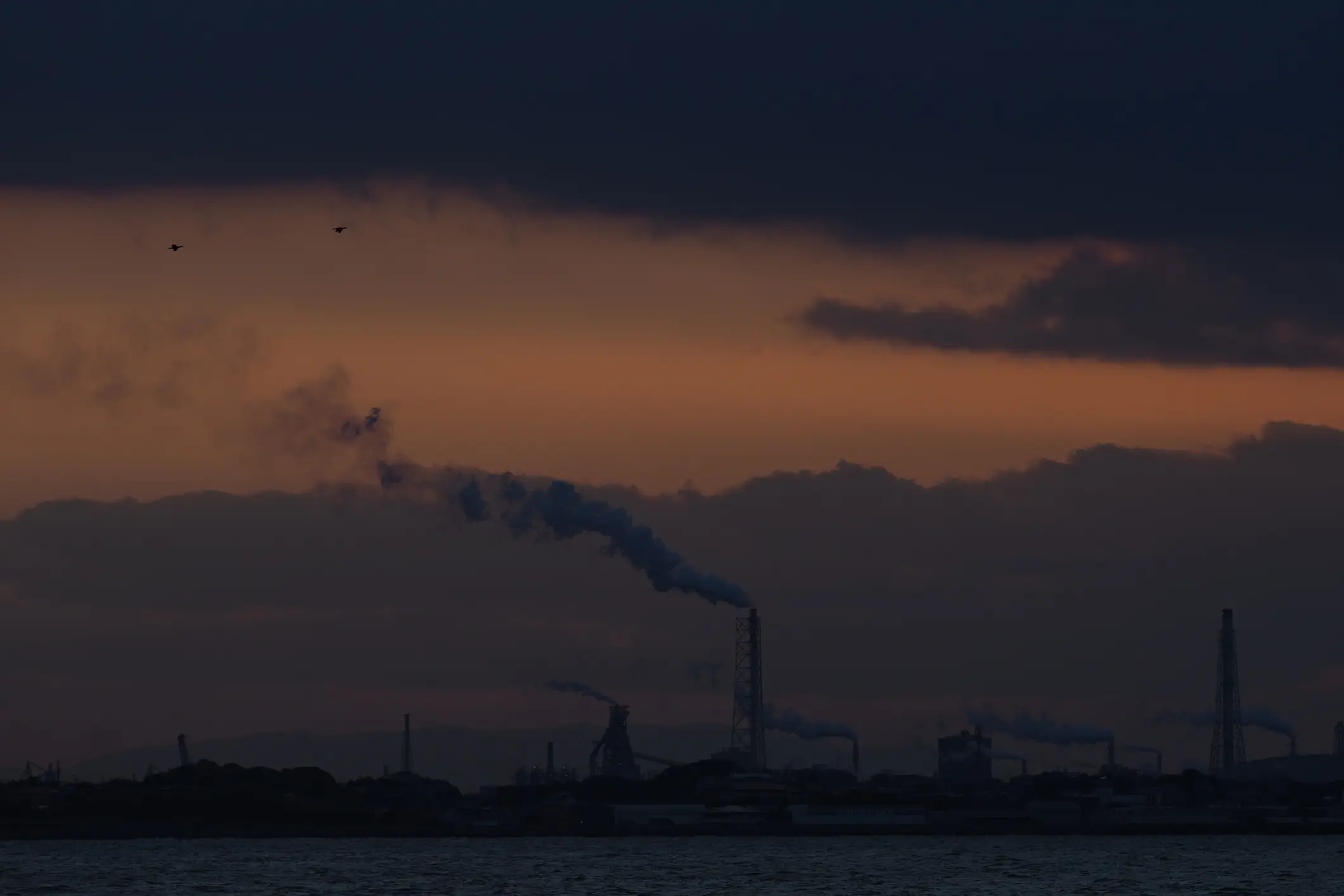 Researchers detected an unexpected airborne toxin in US air for the first time. Credit:	Phil Woodall / Getty