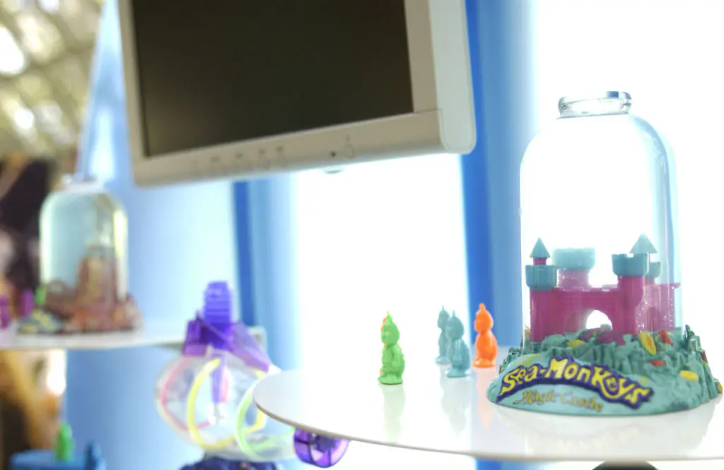 Man 'creeped out' after making eerie discovery when he put his Sea Monkeys underneath a microscope