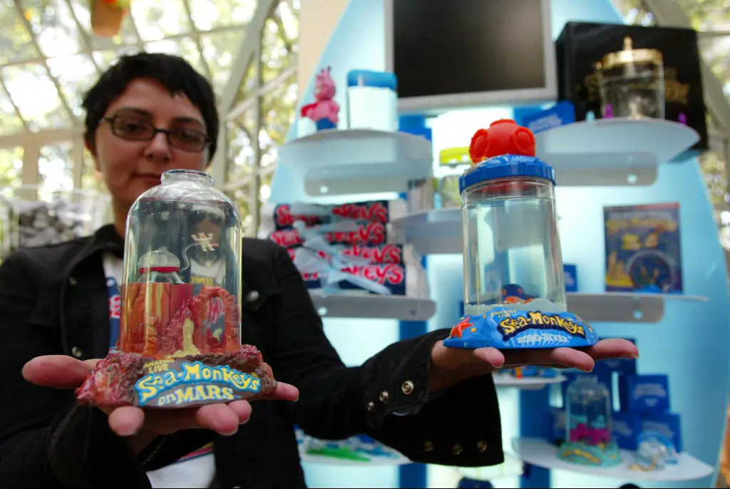 Sea Monkeys are a classic toy. Credit: Chris Weeks / Getty