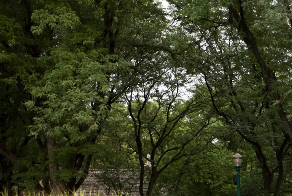 It is the second death in the park's 119-year history. Credit: Terryfic3D/Getty Images