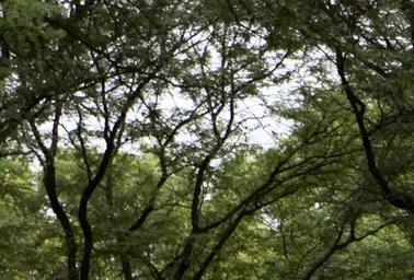 Witnesses share heartbreaking details after 9-year-old child dies at Pennsylvania Hersheypark water park