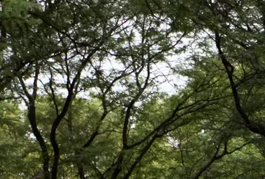 Witnesses share heartbreaking details after 9-year-old child dies at Pennsylvania Hersheypark water park