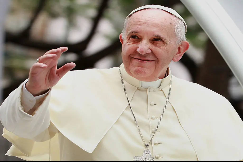 Pope Francis became the Pope in 2013. Credit: Lisa Maree Williams / Getty