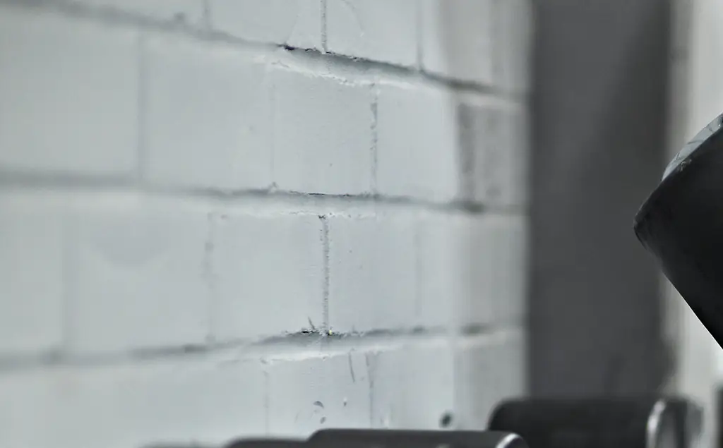 Joey Swoll slams woman for X-rated act in public gym: 'I can't believe that this even has to be said but in 2025'