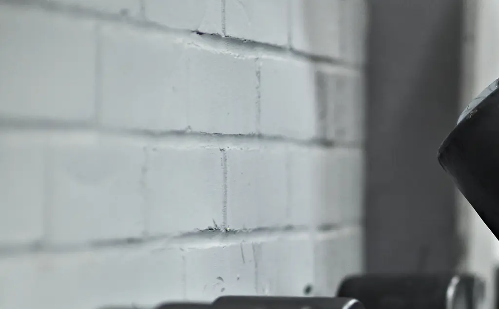 Joey Swoll slams woman for X-rated act in public gym: 'I can't believe that this even has to be said but in 2025'