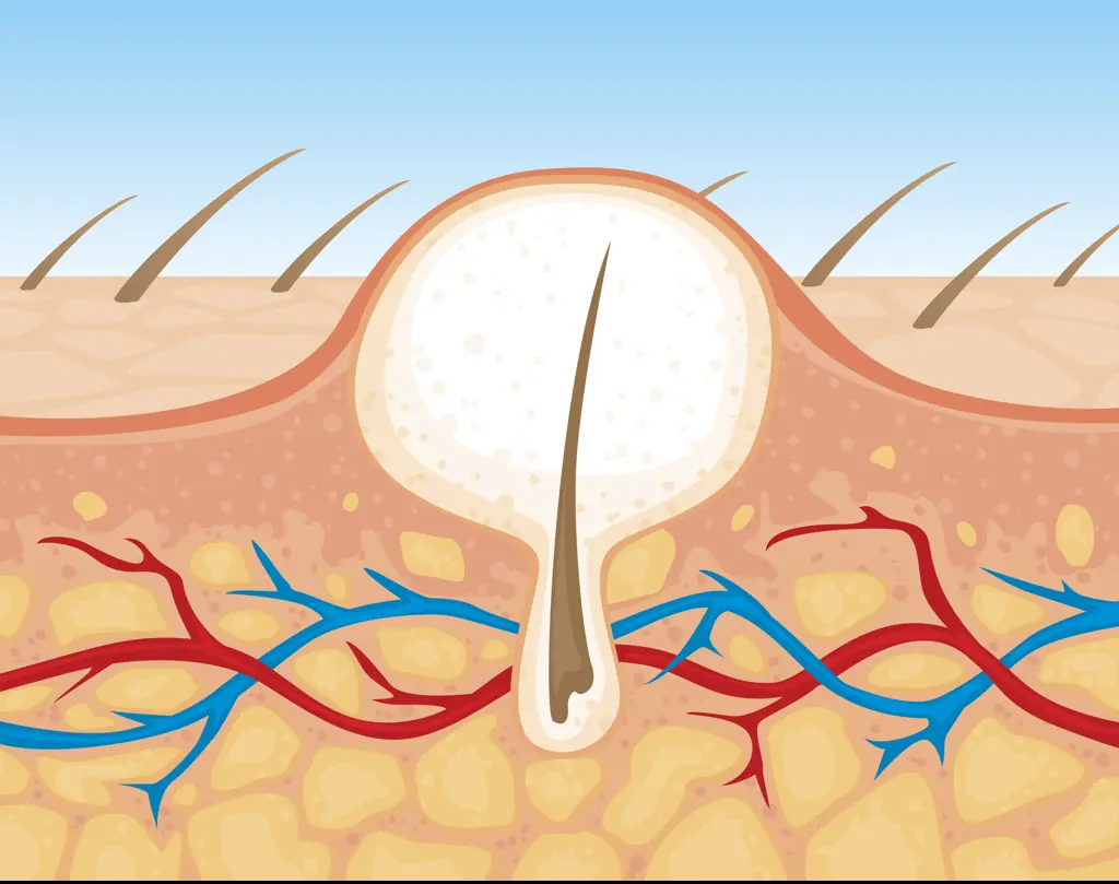 Credit: Big_Ryan / Getty