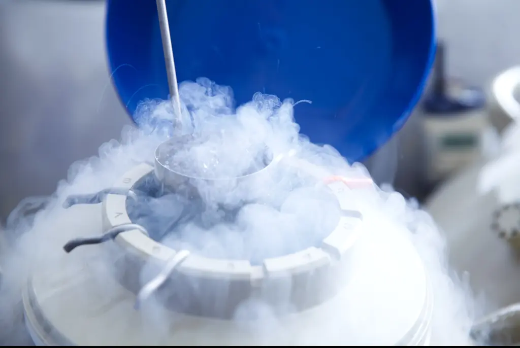 People are just finding out the disturbing fate of those who had their bodies cryogenically frozen in the hope of being brought back to life
