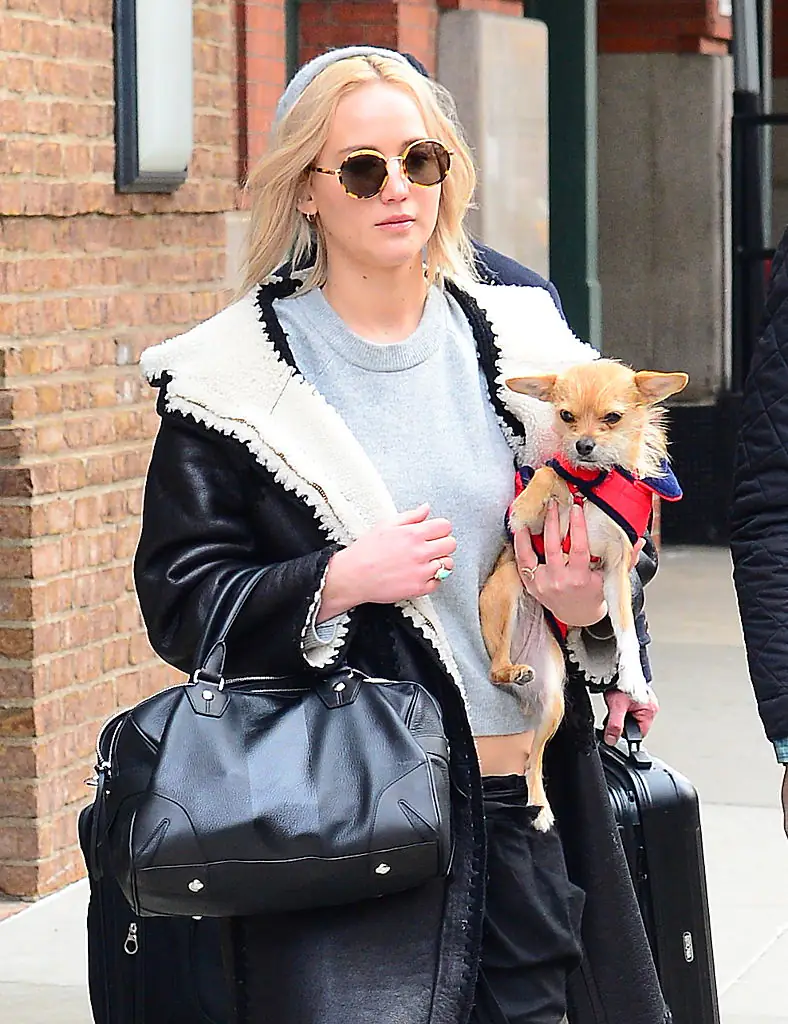 Jennifer Lawrence revealed that she has melasma as the reason she is regularly pictured out in headscarves. Credit: Raymond Hall / Getty