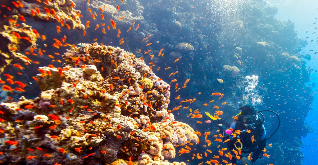 Expert reveals huge environmental impact of Japan's $26,290,780,000 discovery that will support its economy for the next decade