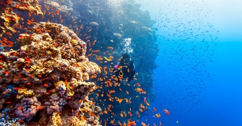 Expert reveals huge environmental impact of Japan's $26,290,780,000 discovery that will support its economy for the next decade