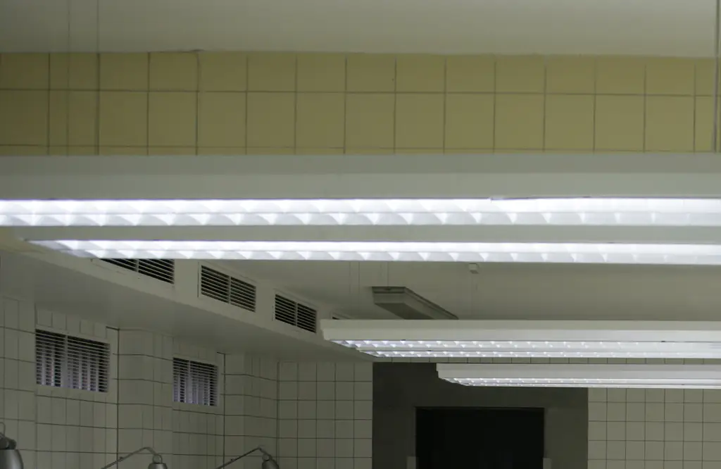 Nebraska woman, 74, declared dead at hospice is found to be alive at funeral home by horrified staff