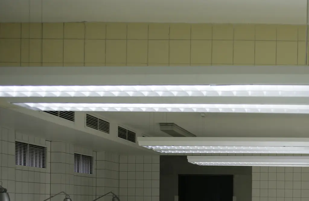 Nebraska woman, 74, declared dead at hospice is found to be alive at funeral home by horrified staff