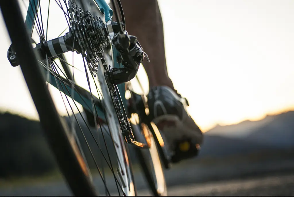 Cyclist crushed to death by large speaker moments before crossing finish line during race