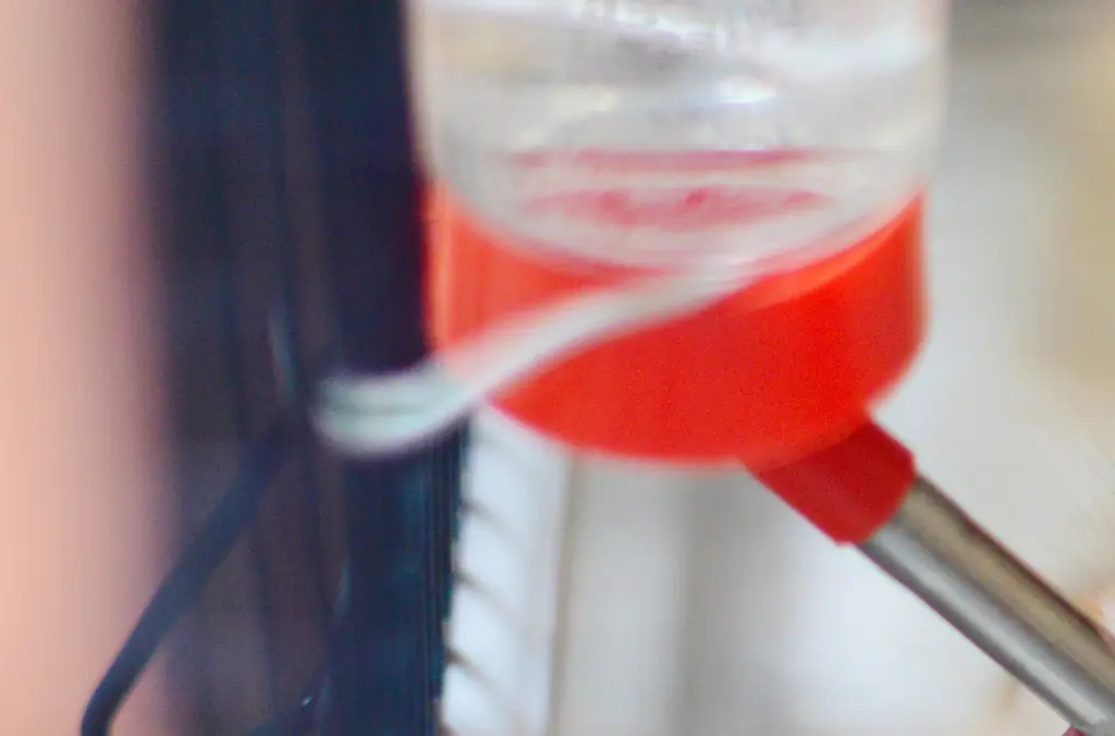 'Hamstering' sex trend explained as couples have started doing it in their cars