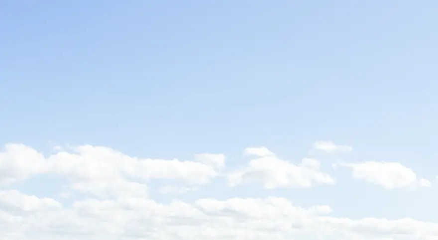 Biggest ever male great white shark recorded off the coast of Florida