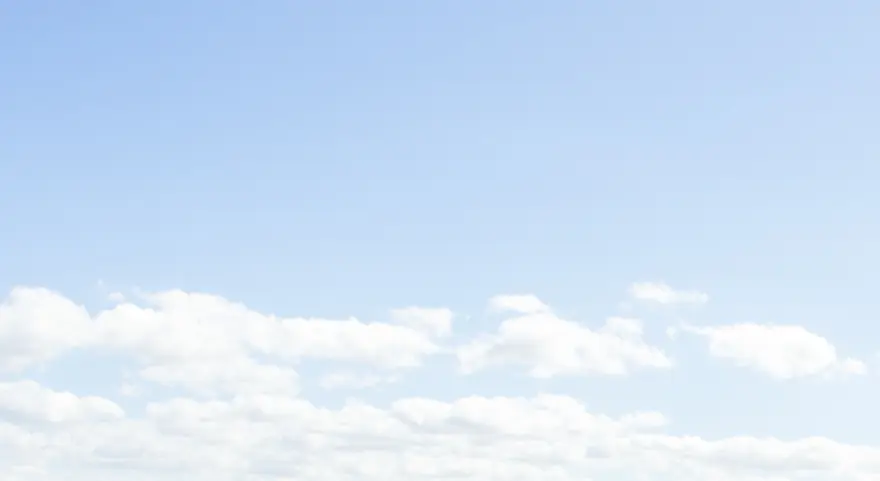 Biggest ever male great white shark recorded off the coast of Florida