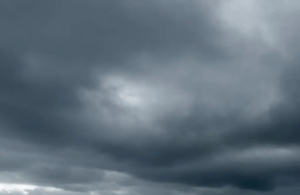 Miracle moment 'whale watcher' is found after 67 days at sea... alongside the bodies of his brother and nephew